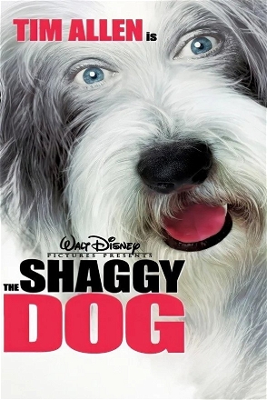 Shaggy Dog